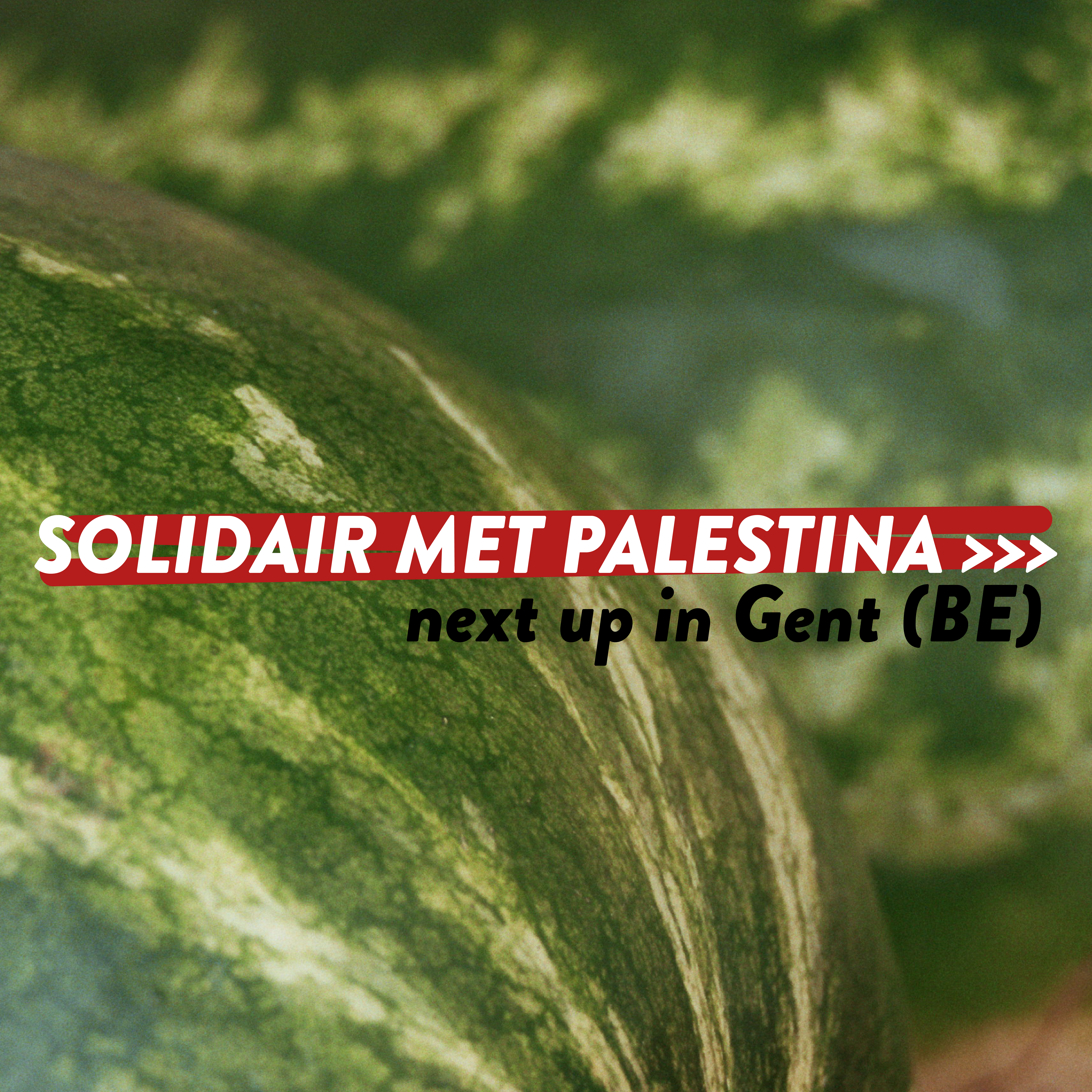 Solidair met Palestina